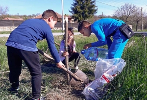 Деца засадиха 24 липови дръвчета в Горна Липница